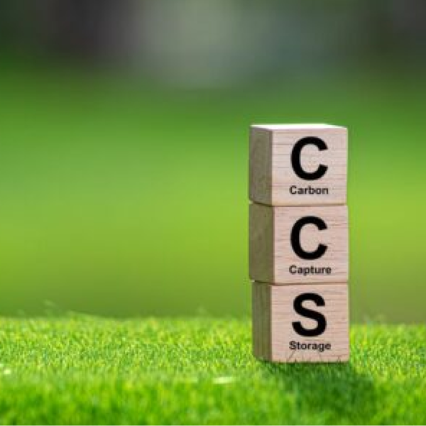 Holzblöcke mit den Buchstaben C, C und S für Carbon Capture and Storage auf grünem Rasen, Symbol für CO₂-Speicherung.
